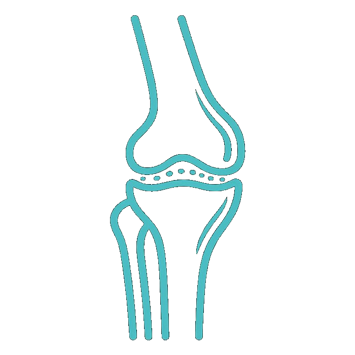 Orthopaedics