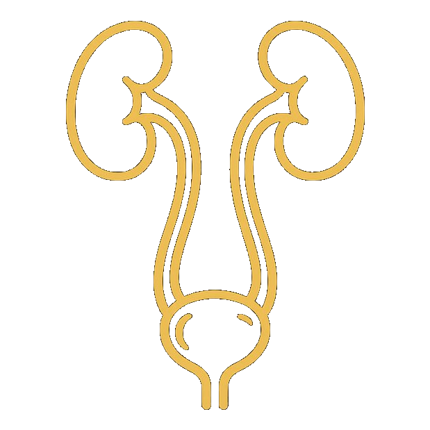 Urology