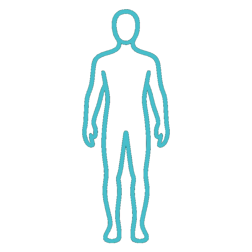 Anatomy